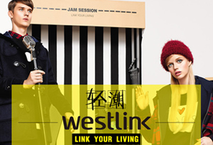 <b>westlink 西遇</b>